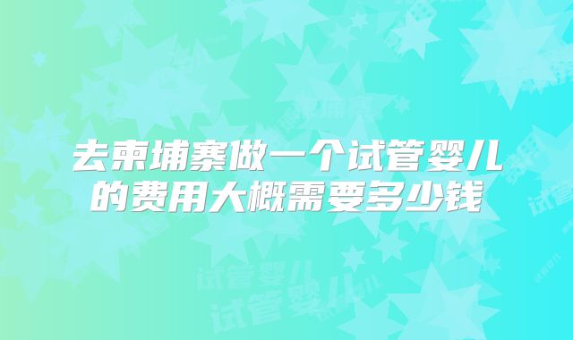去柬埔寨做一个试管婴儿的费用大概需要多少钱