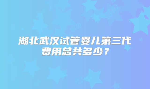 湖北武汉试管婴儿第三代费用总共多少？