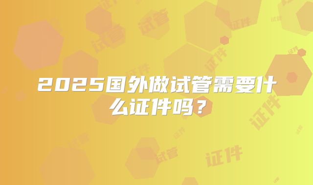 2025国外做试管需要什么证件吗？