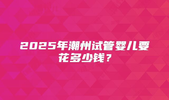 2025年潮州试管婴儿要花多少钱?