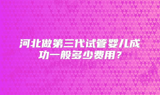 河北做第三代试管婴儿成功一般多少费用？