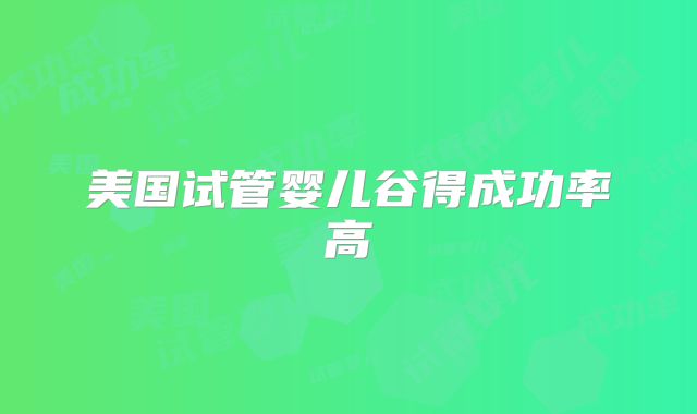 美国试管婴儿谷得成功率高
