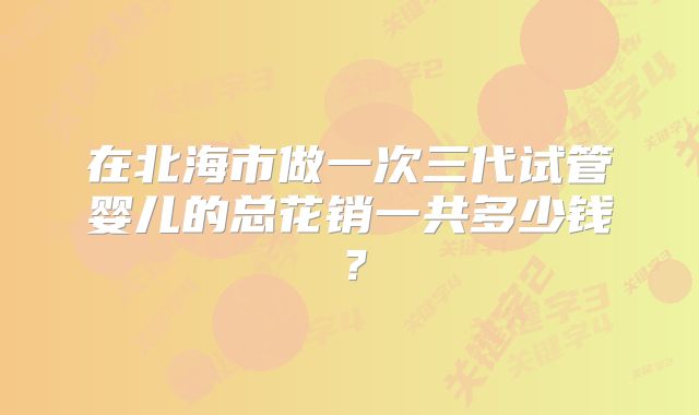 在北海市做一次三代试管婴儿的总花销一共多少钱？