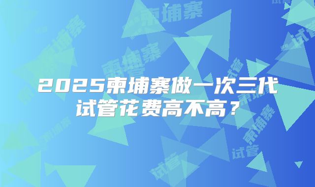 2025柬埔寨做一次三代试管花费高不高？