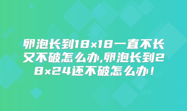 卵泡长到18×18一直不长又不破怎么办,卵泡长到28×24还不破怎么办！