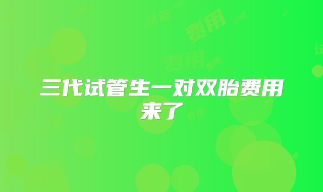 三代试管生一对双胎费用来了