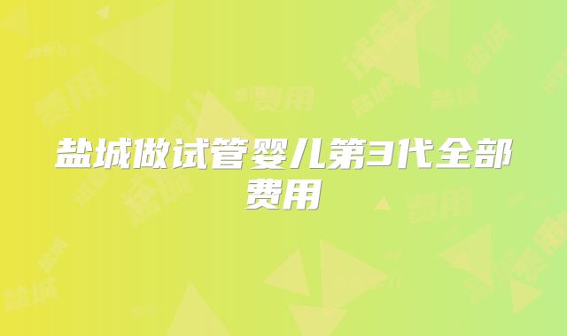 盐城做试管婴儿第3代全部费用