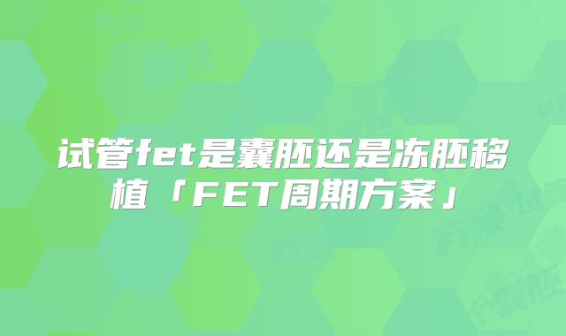 试管fet是囊胚还是冻胚移植「FET周期方案」