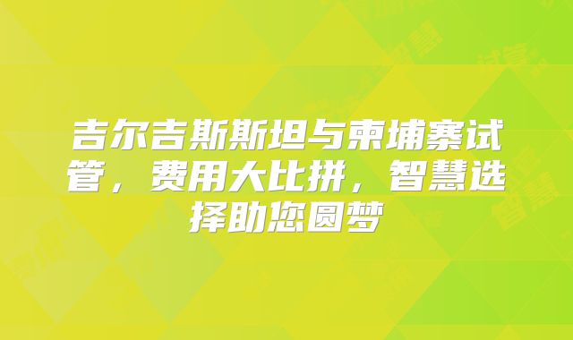 吉尔吉斯斯坦与柬埔寨试管,费用大比拼,智慧选择助您圆梦