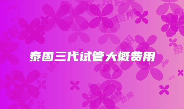 泰国三代试管大概费用