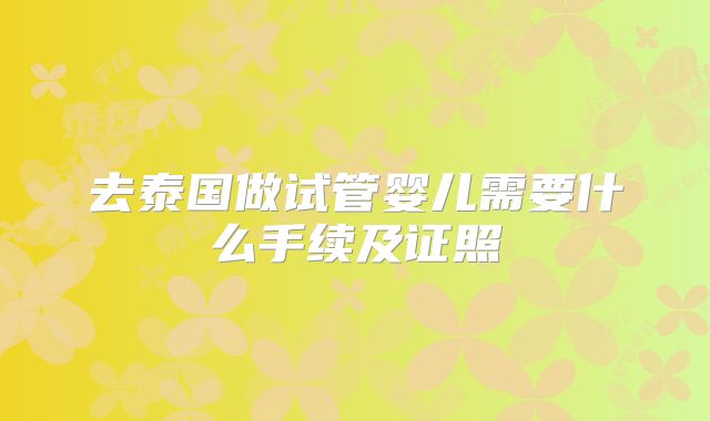 去泰国做试管婴儿需要什么手续及证照