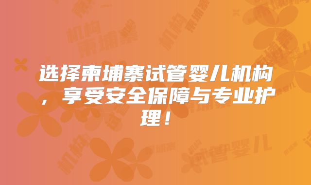 选择柬埔寨试管婴儿机构,享受安全保障与专业护理!