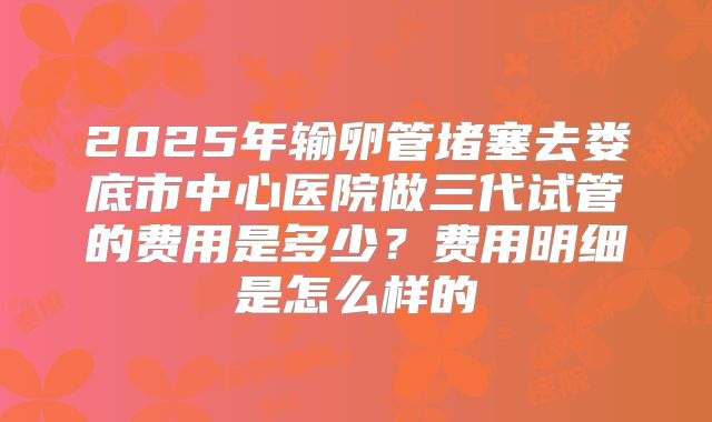 2025年输卵管堵塞去娄底市中心医院做三代试管的费用是多少？费用明细是怎么样的