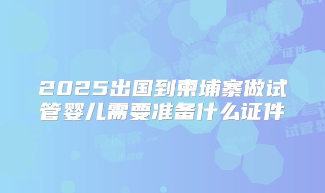 2025出国到柬埔寨做试管婴儿需要准备什么证件