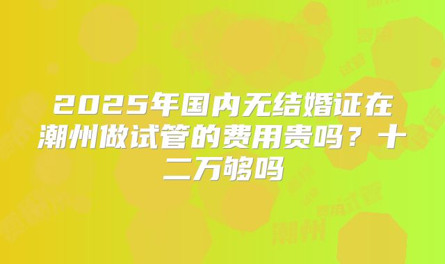 2025年国内无结婚证在潮州做试管的费用贵吗?十二万够吗