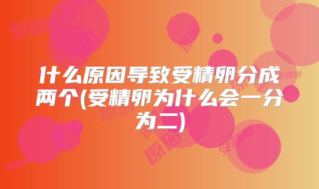 什么原因导致受精卵分成两个(受精卵为什么会一分为二)