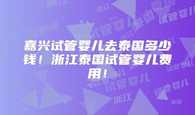 嘉兴试管婴儿去泰国多少钱！浙江泰国试管婴儿费用！