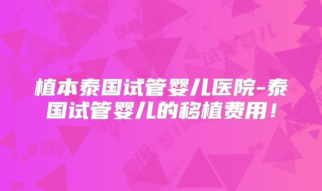 植本泰国试管婴儿医院-泰国试管婴儿的移植费用!