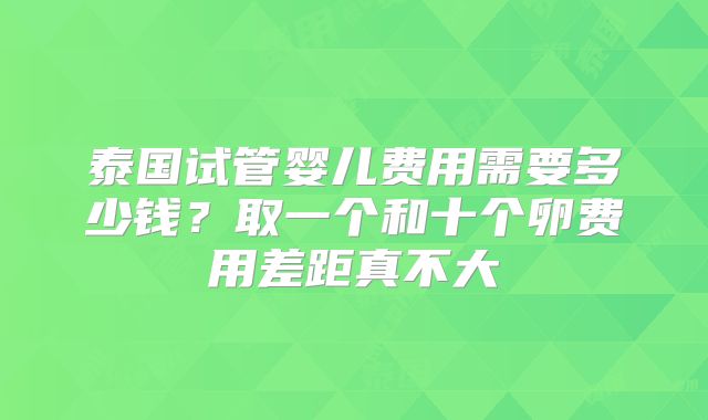 泰国试管婴儿费用需要多少钱？取一个和十个卵费用差距真不大