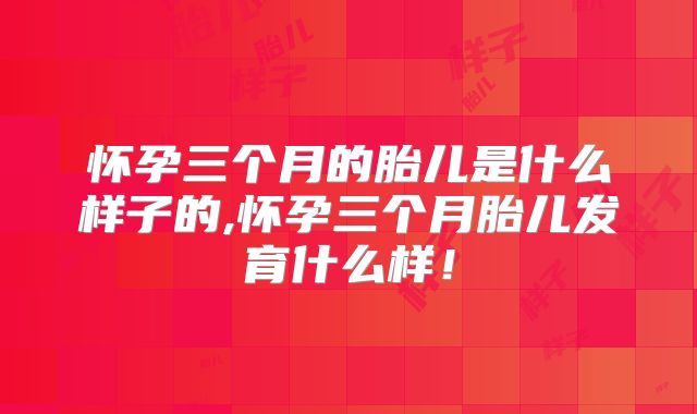 怀孕三个月的胎儿是什么样子的,怀孕三个月胎儿发育什么样！