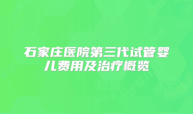 石家庄医院第三代试管婴儿费用及治疗概览