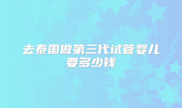 去泰国做第三代试管婴儿要多少钱