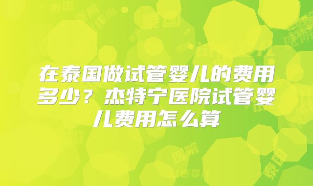 在泰国做试管婴儿的费用多少?杰特宁医院试管婴儿费用怎么算