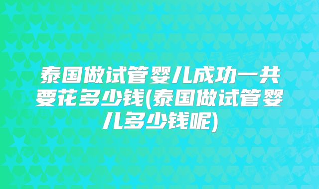 泰国做试管婴儿成功一共要花多少钱(泰国做试管婴儿多少钱呢)