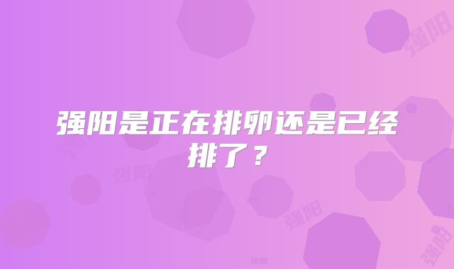 强阳是正在排卵还是已经排了？