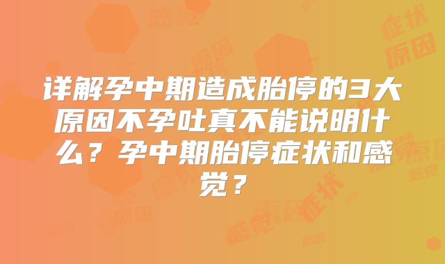 详解孕中期造成胎停的3大原因不孕吐真不能说明什么?孕中期胎停症状和感觉?