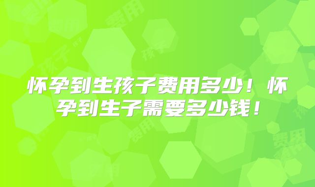 怀孕到生孩子费用多少！怀孕到生子需要多少钱！