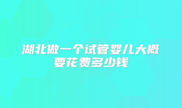 湖北做一个试管婴儿大概要花费多少钱