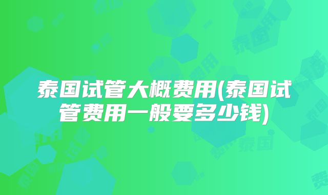 泰国试管大概费用(泰国试管费用一般要多少钱)