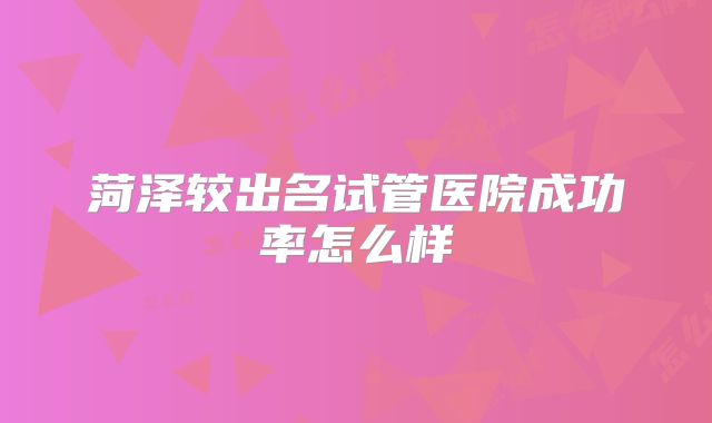 菏泽较出名试管医院成功率怎么样