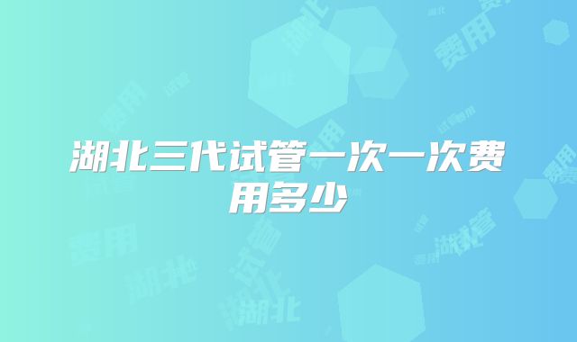 湖北三代试管一次一次费用多少