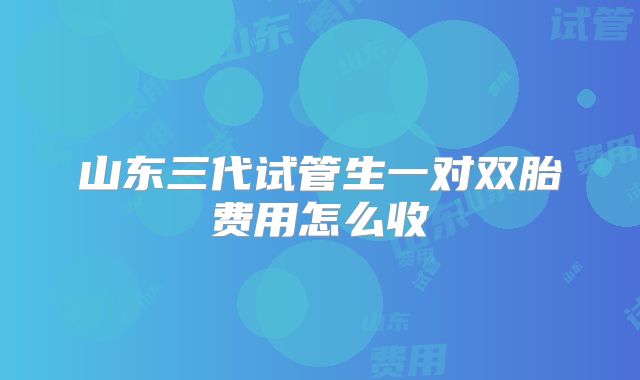 山东三代试管生一对双胎费用怎么收