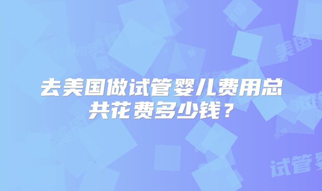去美国做试管婴儿费用总共花费多少钱？