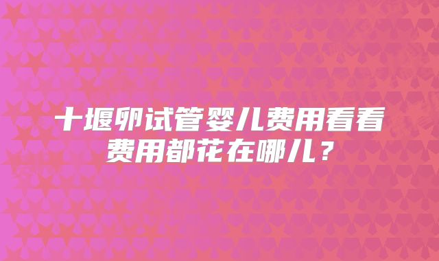 十堰卵试管婴儿费用看看费用都花在哪儿？