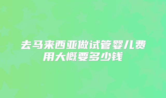 去马来西亚做试管婴儿费用大概要多少钱