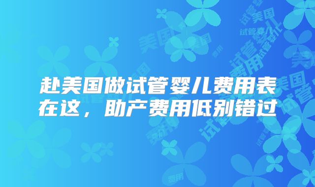 赴美国做试管婴儿费用表在这，助产费用低别错过