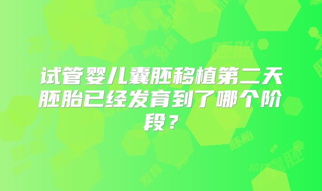 试管婴儿囊胚移植第二天胚胎已经发育到了哪个阶段？