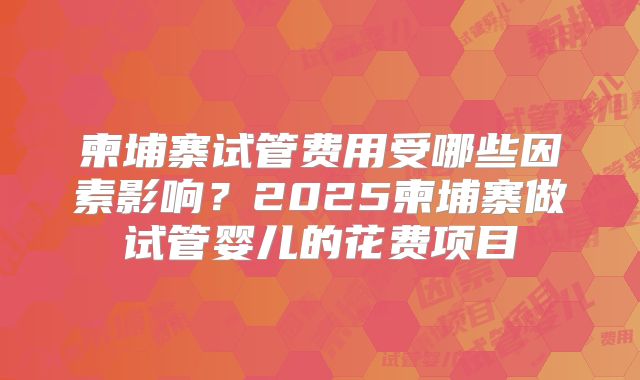 柬埔寨试管费用受哪些因素影响?2025柬埔寨做试管婴儿的花费项目