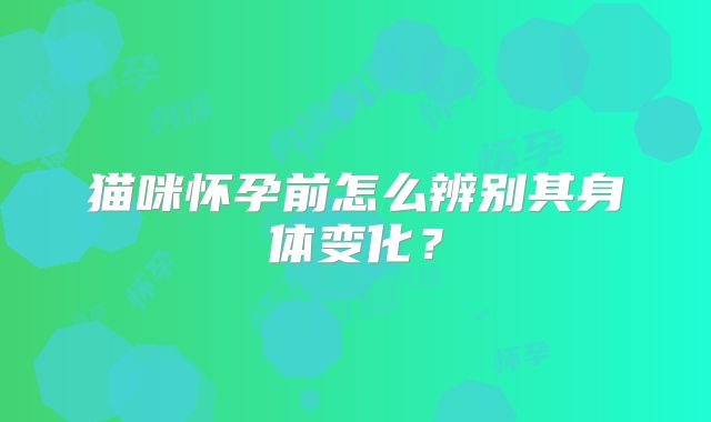 猫咪怀孕前怎么辨别其身体变化?