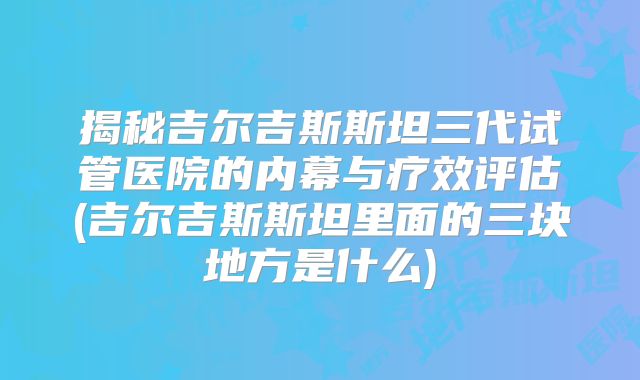揭秘吉尔吉斯斯坦三代试管医院的内幕与疗效评估(吉尔吉斯斯坦里面的三块地方是什么)