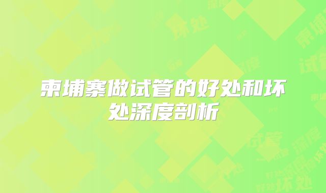 柬埔寨做试管的好处和坏处深度剖析
