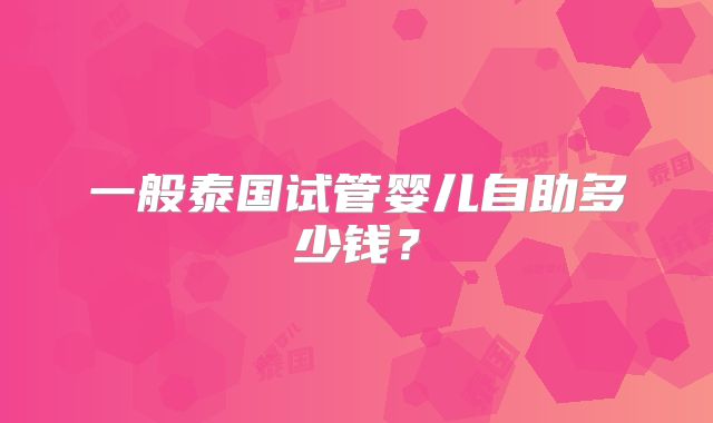 一般泰国试管婴儿自助多少钱？