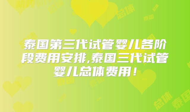 泰国第三代试管婴儿各阶段费用安排,泰国三代试管婴儿总体费用!