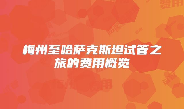 梅州至哈萨克斯坦试管之旅的费用概览