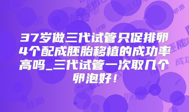 37岁做三代试管只促排卵4个配成胚胎移植的成功率高吗_三代试管一次取几个卵泡好!