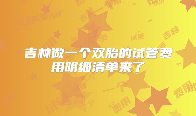 吉林做一个双胎的试管费用明细清单来了